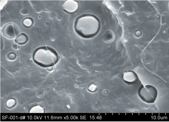 Membrana transpirable y microestructura “porógena” de relleno.