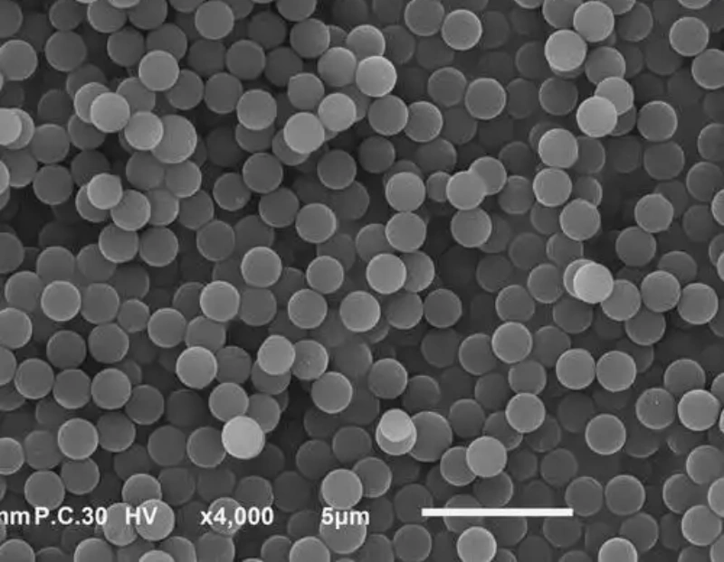 Mikrofer PMMA 1