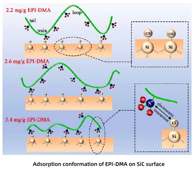 Adsorption conformation of EPI-DMA on SiC surface