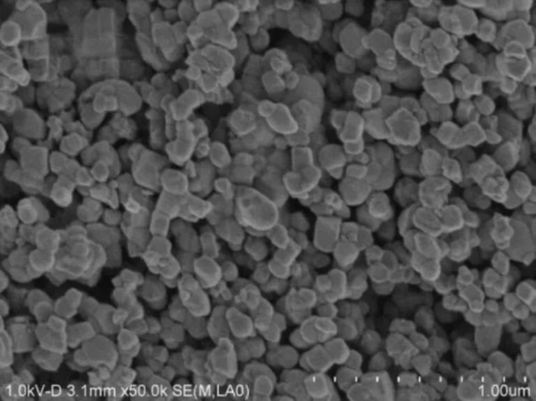 SEM images of barium titanate powder