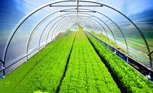 Agricultural Films1