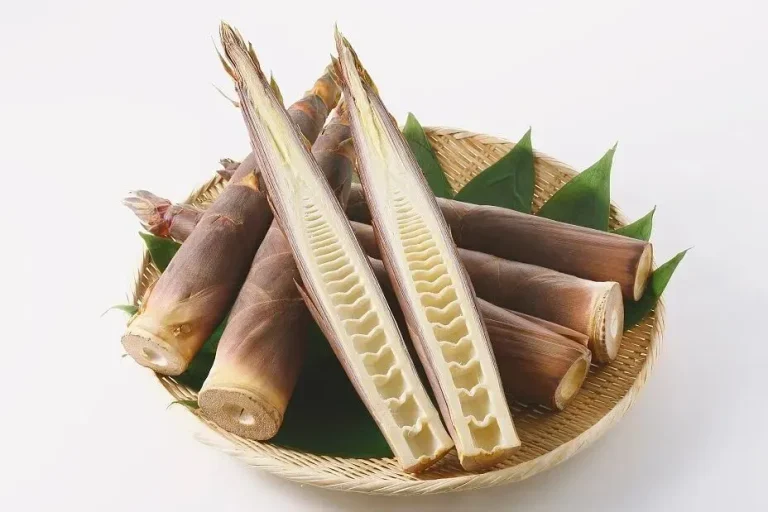 bamboo shoot